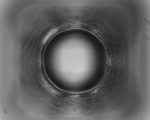 X0000101710054200807101614
