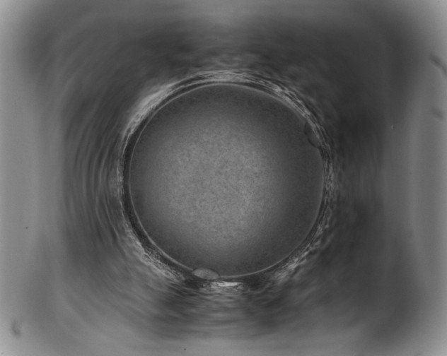 X0000101710055200807101614