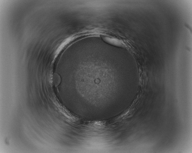 X0000101710056200807101614