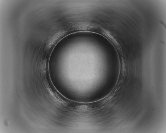 X0000101710058200807101614