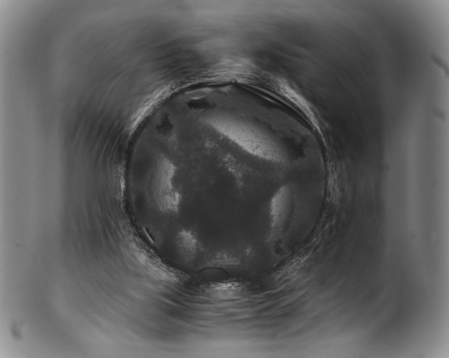 X0000101710059200807101614