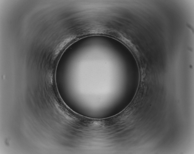 X0000101710060200807101614