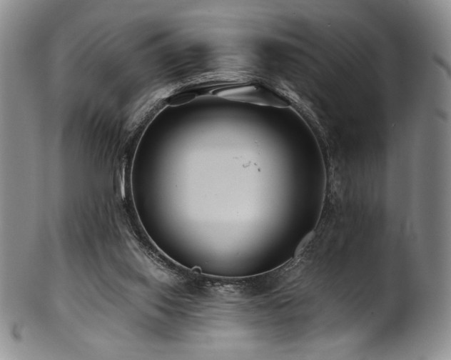 X0000101710062200807101614