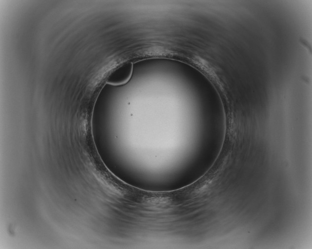 X0000101710063200807101614