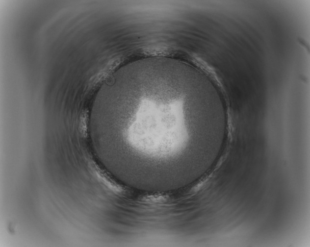 X0000101710065200807101614