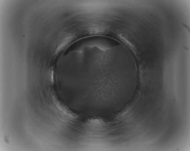 X0000101710067200807101615