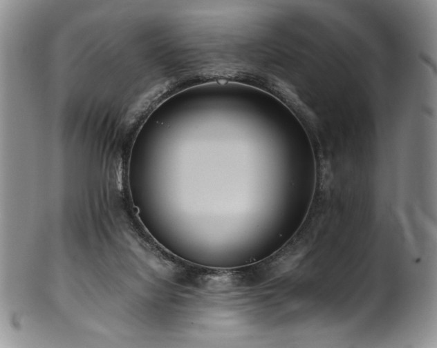 X0000101710068200807101615