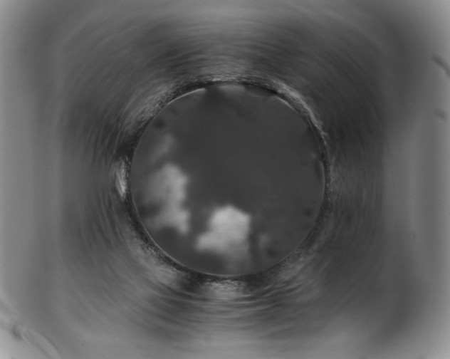 X0000101710069200807101615