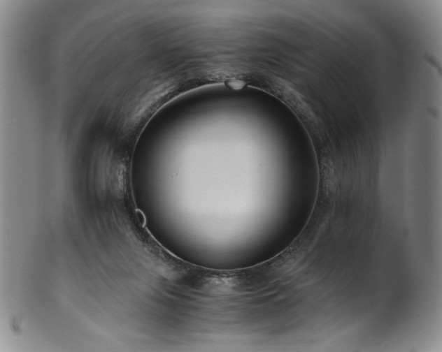 X0000101710071200807101615