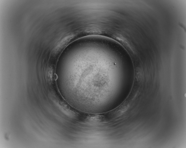 X0000101710072200807101615