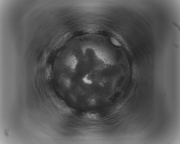 X0000101710073200807101615