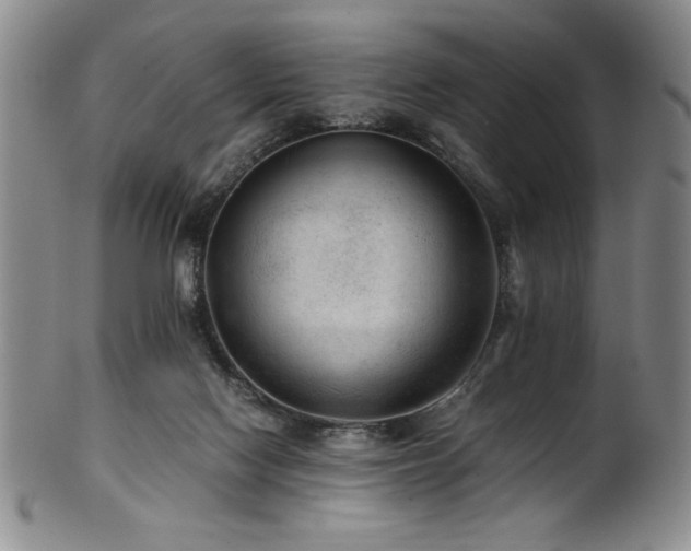 X0000101710074200807101615