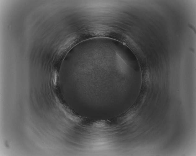 X0000101710076200807101615