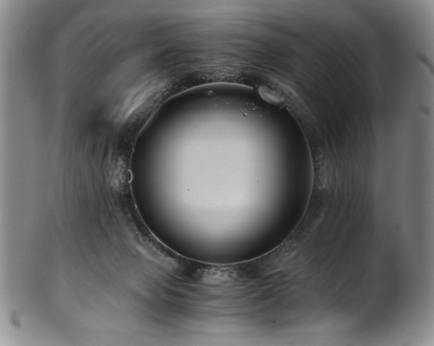 X0000101710077200807101615