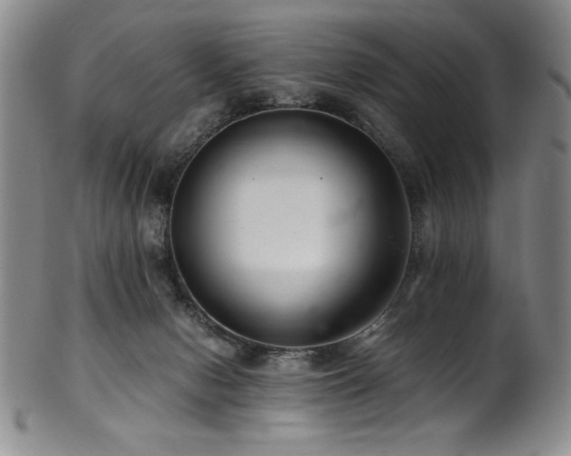 X0000101710078200807101615