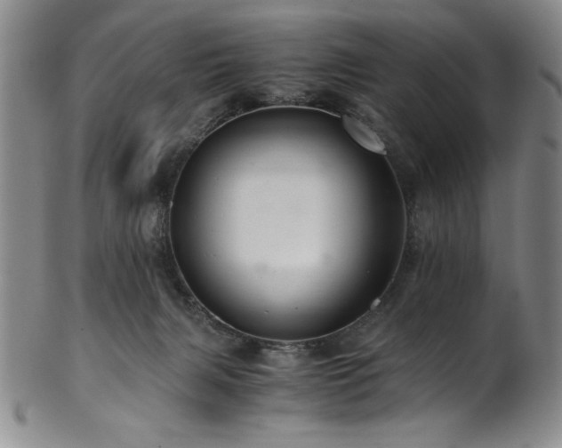 X0000101710079200807101615