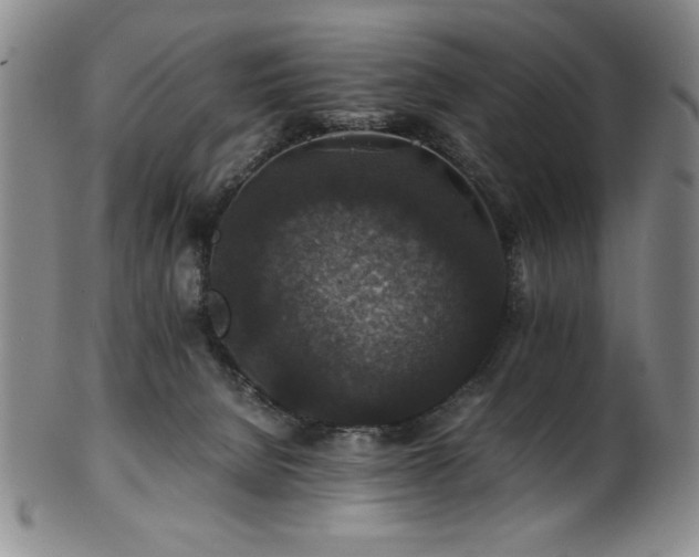 X0000101710080200807101615