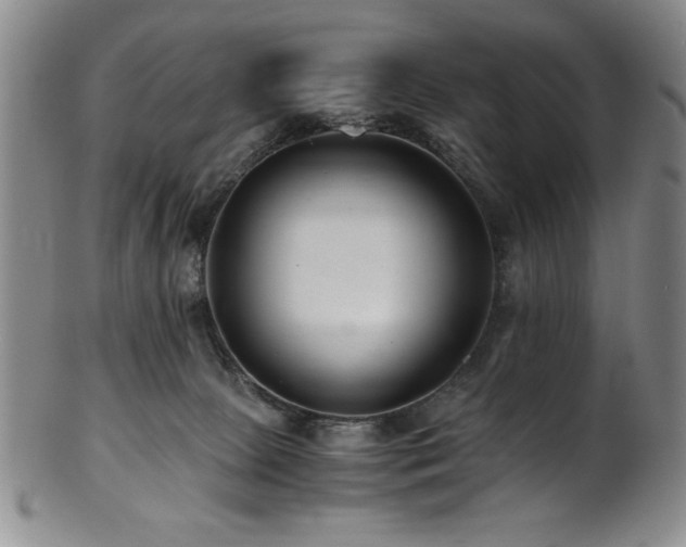 X0000101710081200807101615