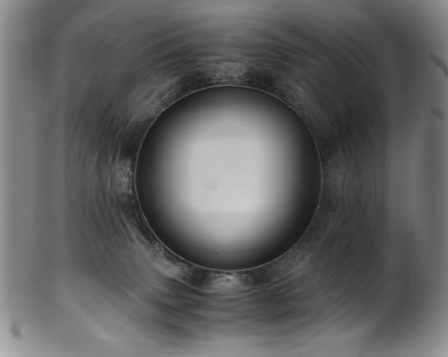 X0000101710083200807101615