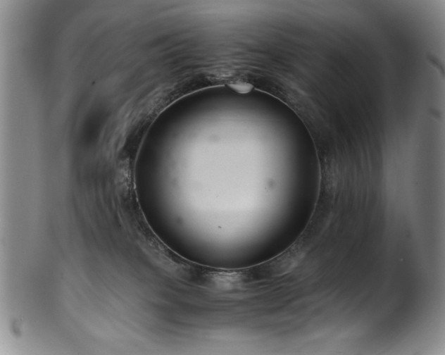 X0000101710085200807101615