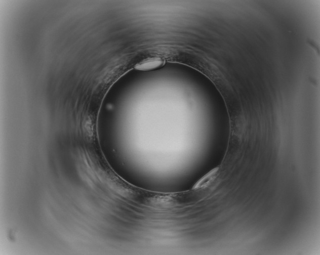 X0000101710086200807101615