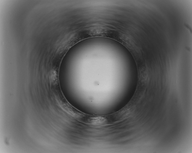 X0000101710087200807101615