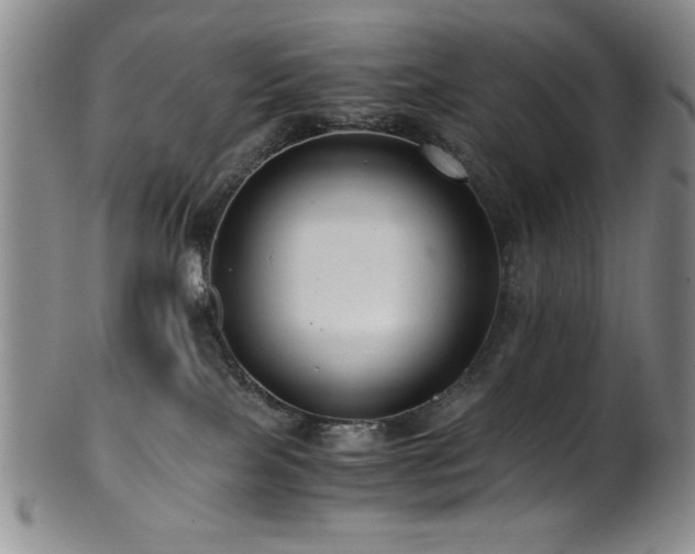 X0000101710089200807101615