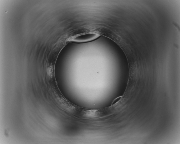 X0000101710090200807101615