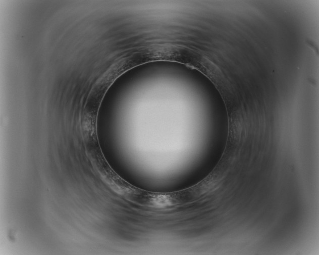 X0000101710091200807101615