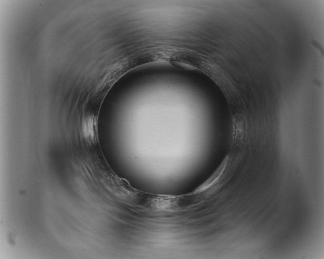 X0000101710094200807101615