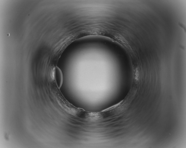 X0000101710095200807101615