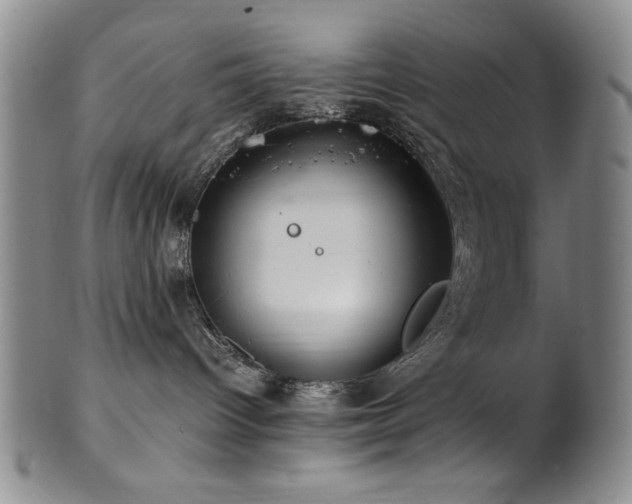 X0000101710096200807101615