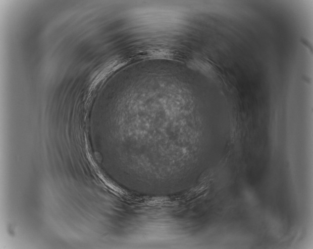 X0000101710097200807101614