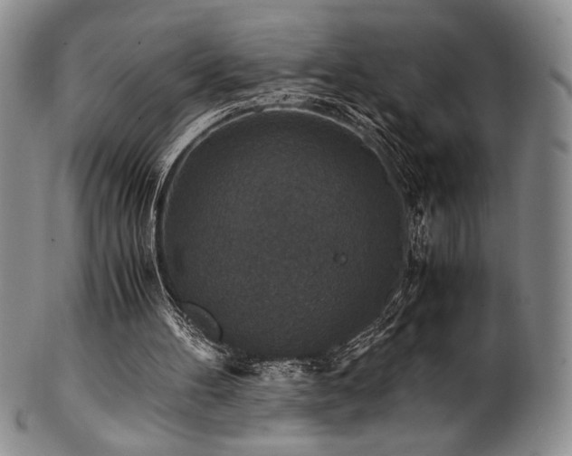 X0000101710100200807101614