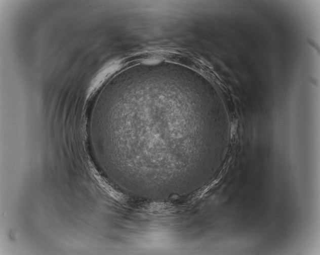 X0000101710101200807101614