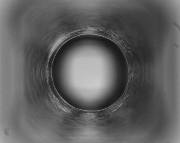X0000101710102200807101614
