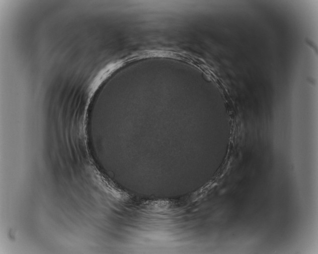 X0000101710104200807101614