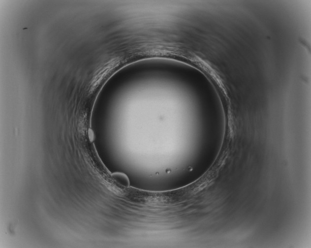 X0000101710105200807101614