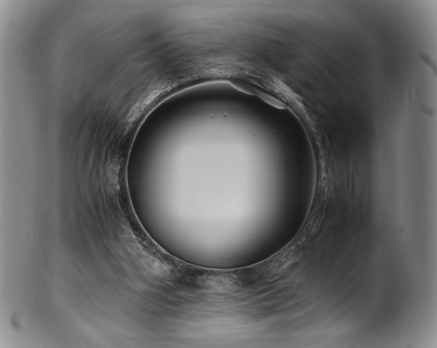 X0000101710106200807101614