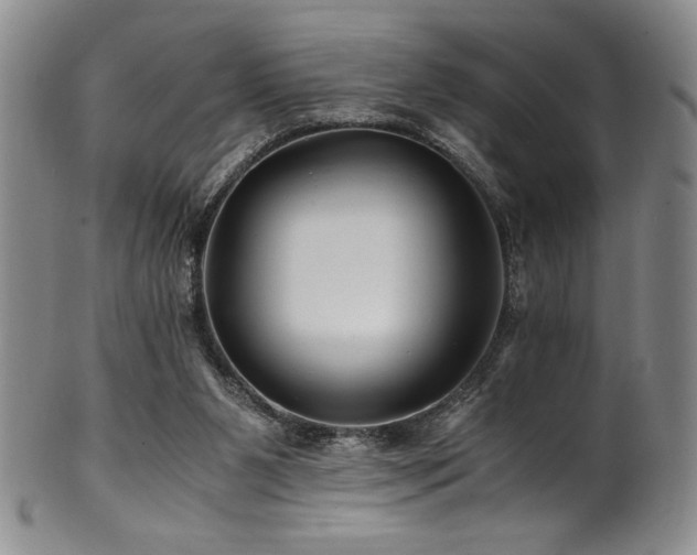 X0000101710111200807101614