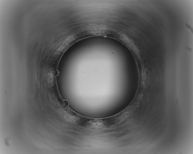 X0000101710113200807101614