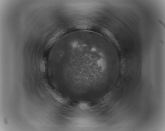 X0000101710114200807101614