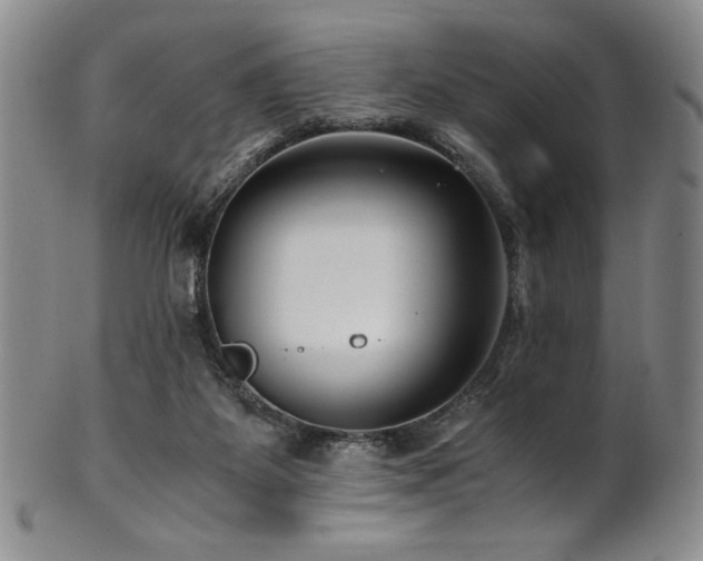 X0000101710115200807101614
