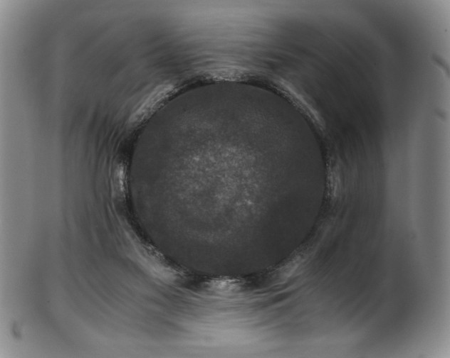 X0000101710117200807101614
