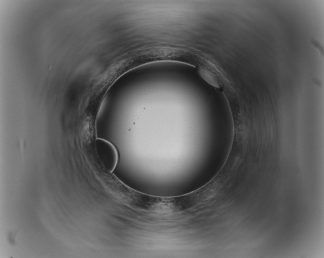 X0000101710119200807101614