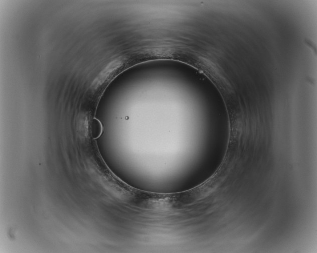 X0000101710120200807101614