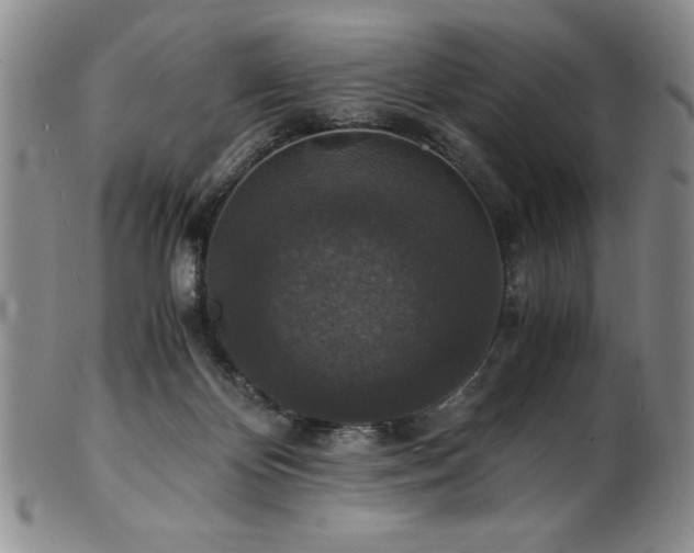 X0000101710124200807101614