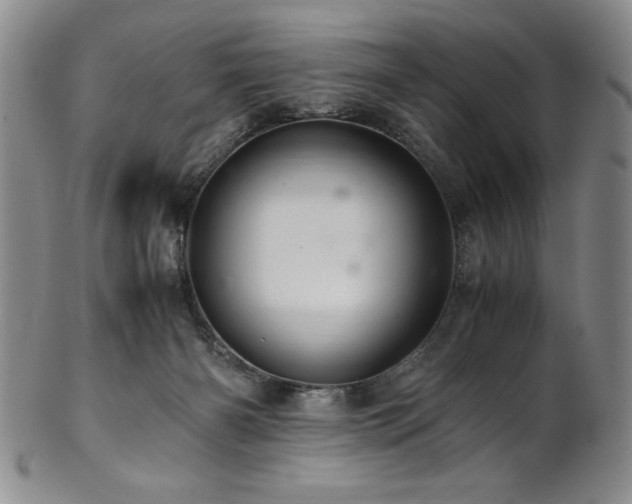 X0000101710126200807101614