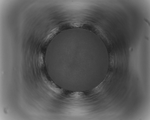 X0000101710128200807101614