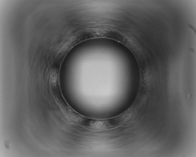 X0000101710129200807101614